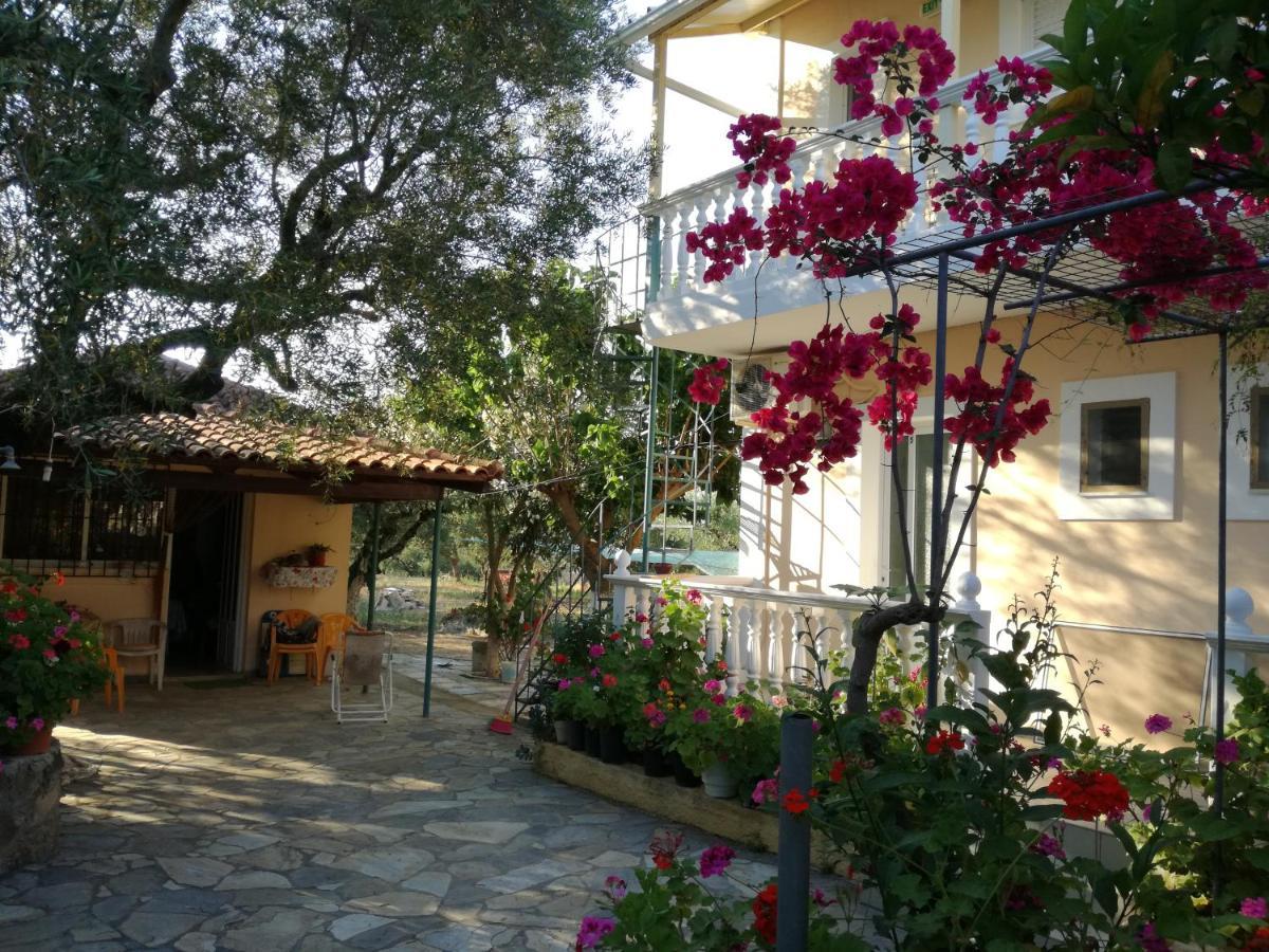 Casa Dyonisia Tsilivi Aparthotel พลานอส ภายนอก รูปภาพ