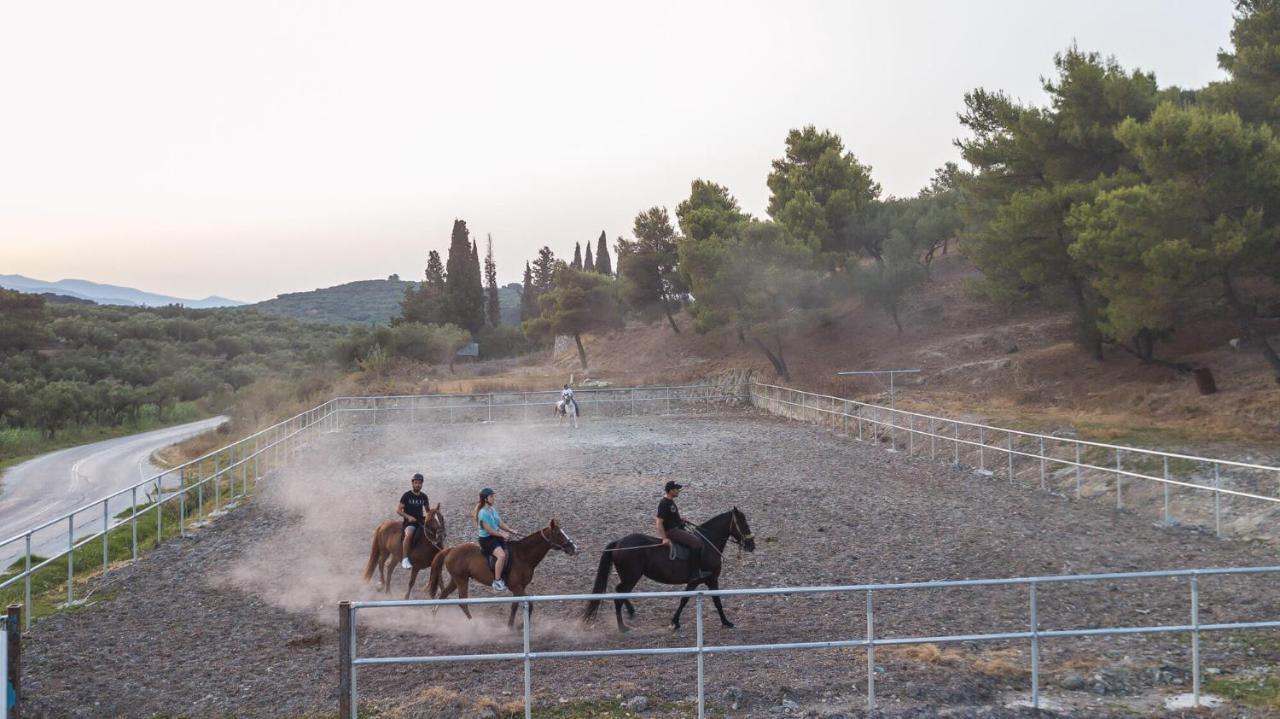 Casa Dyonisia Tsilivi Aparthotel พลานอส ภายนอก รูปภาพ