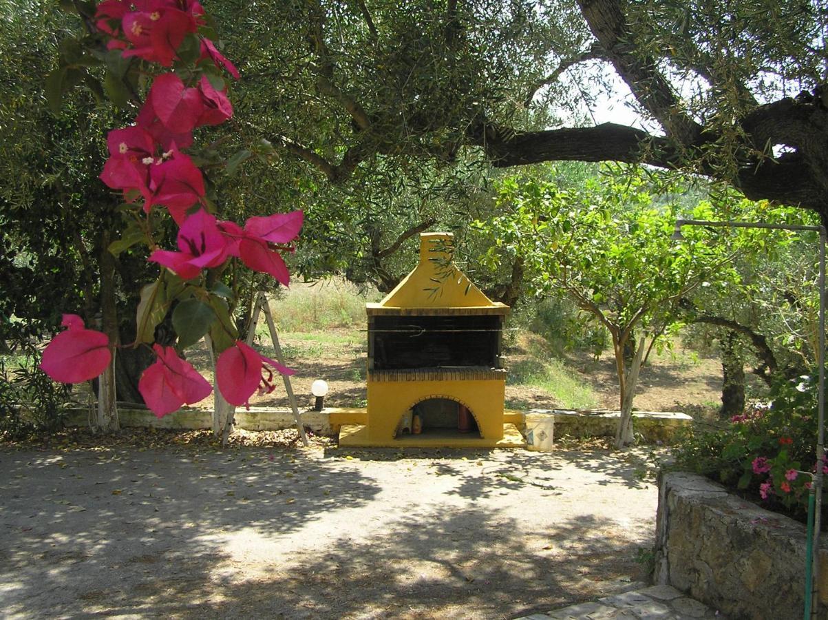Casa Dyonisia Tsilivi Aparthotel พลานอส ภายนอก รูปภาพ