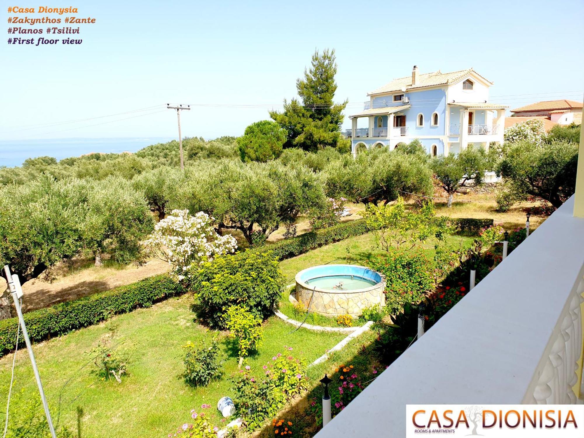 Casa Dyonisia Tsilivi Aparthotel พลานอส ภายนอก รูปภาพ