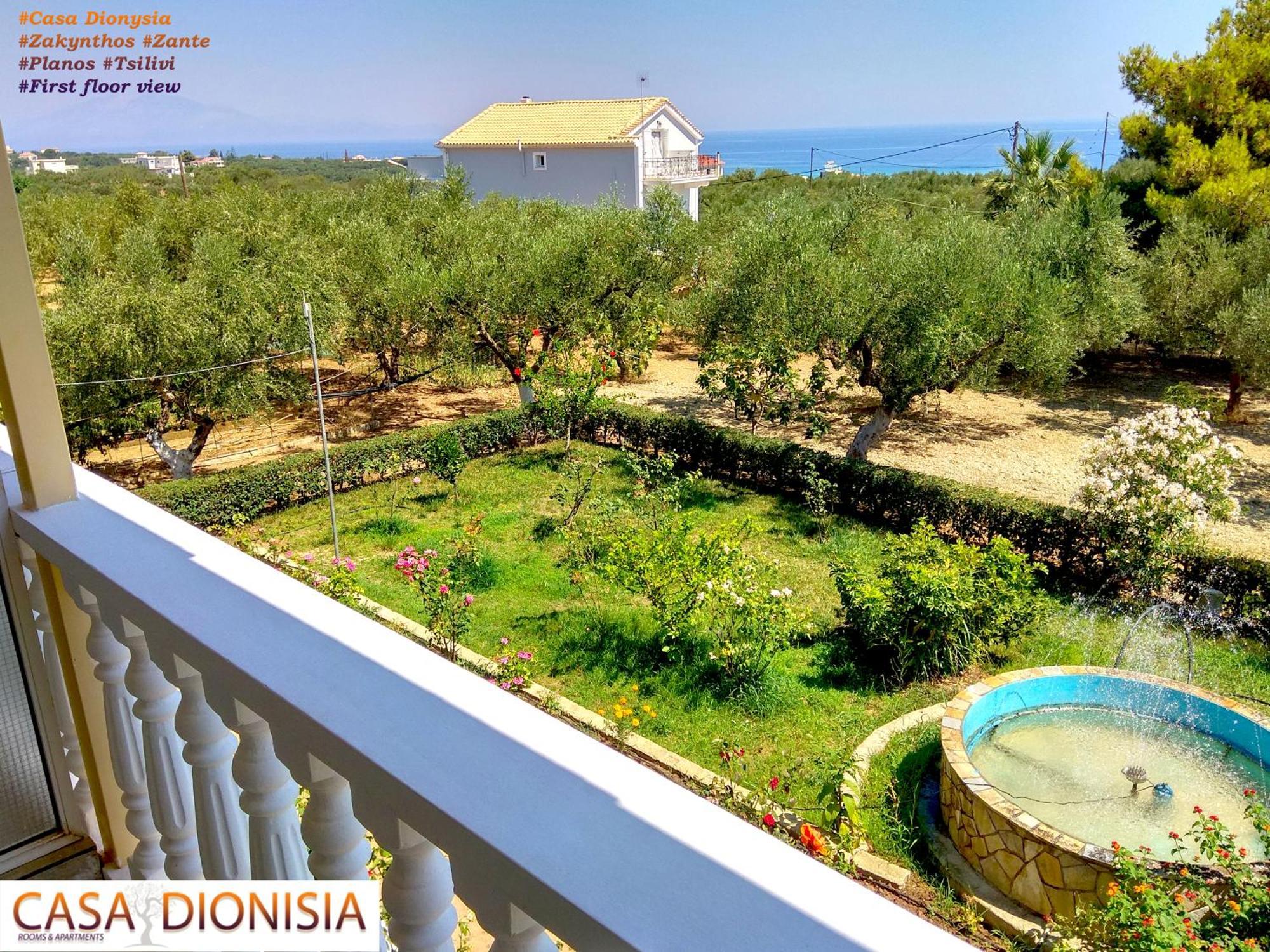 Casa Dyonisia Tsilivi Aparthotel พลานอส ภายนอก รูปภาพ
